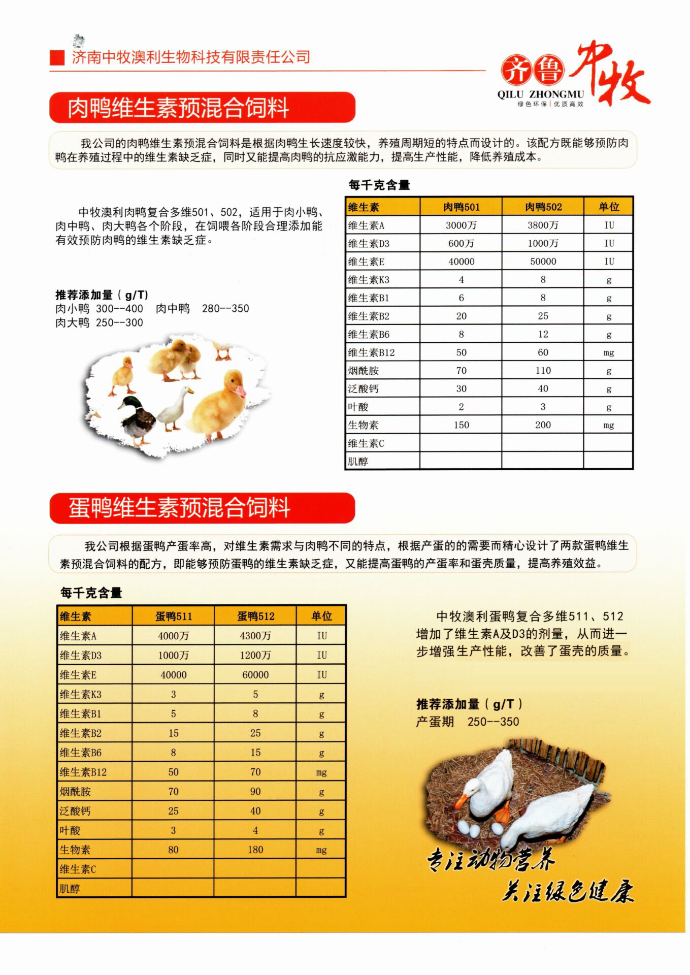 肉鸭蛋鸭拷.jpg